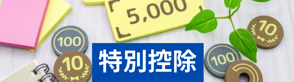 特別控除